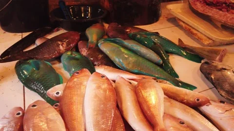 Fish Market display. Video stock 137855857