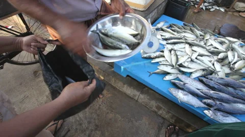 Fish market Stock Footage 1094828