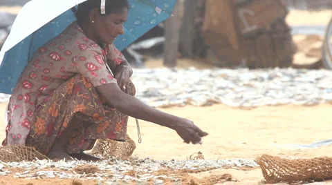 Fish market Vídeo Stock 1164298