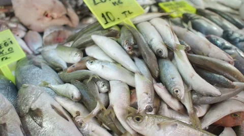 Fish market Stock Footage 61526654