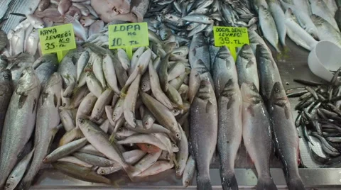 Fish market Stock Footage 61526655