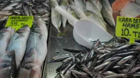 Fish market Stock Footage 61526656