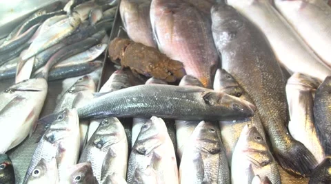 Fish Market Stock Footage 65762438