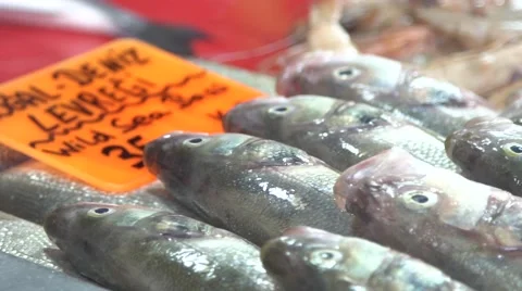 Fish Market 스톡 동영상 65762456