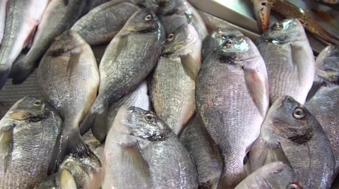 Fish Market Stock Footage 65762482