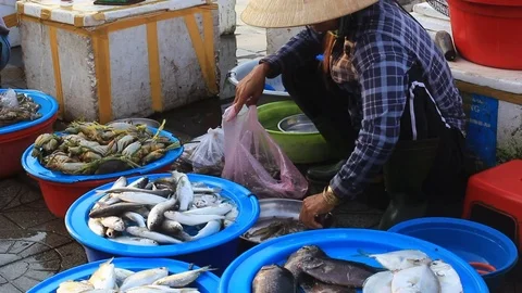 Fish market Stock Footage 114126208