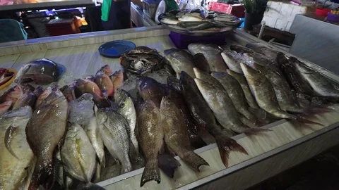 Fish market Stock Footage 123045663