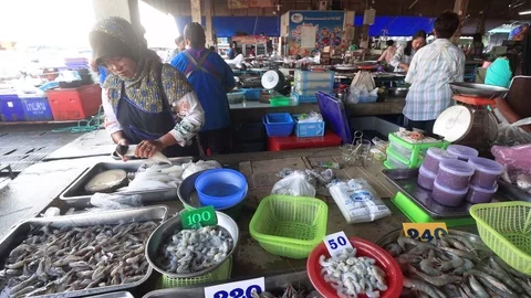 Fish market Stock Footage 123199644