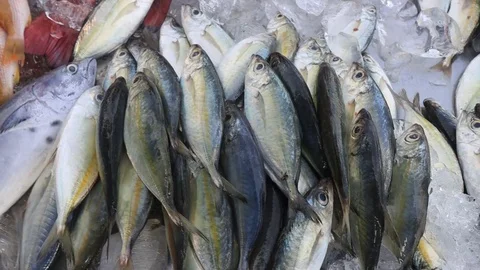 Fish market Stock Footage 123281025