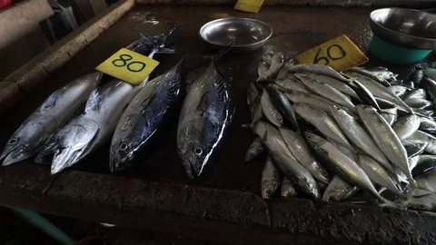 Fish market Stock Footage 123421579