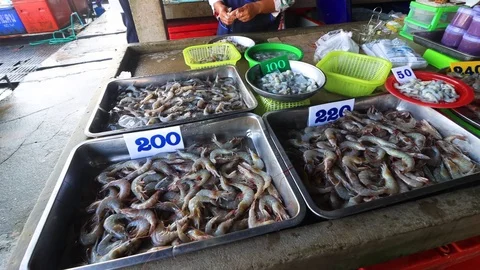 Fish market Stock Footage 123503574