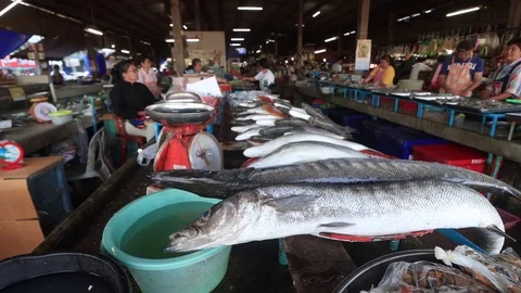 Fish market Stock Footage 123567726
