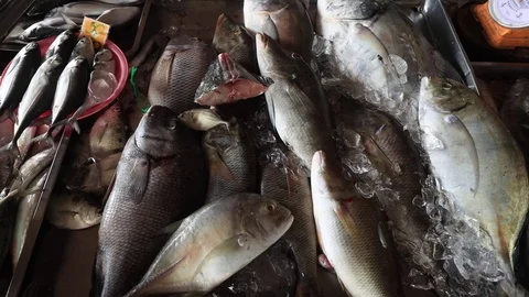 Fish market Stock Footage 124400272