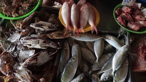 Fish market Stock Footage 124567883