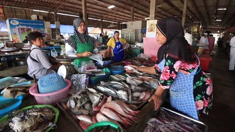 Fish market Stock Footage 125009056