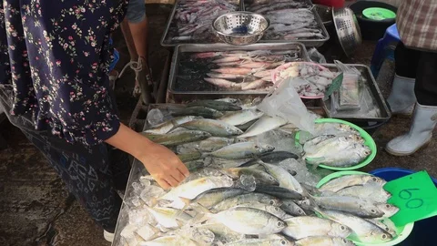 Fish market Stock Footage 128337092