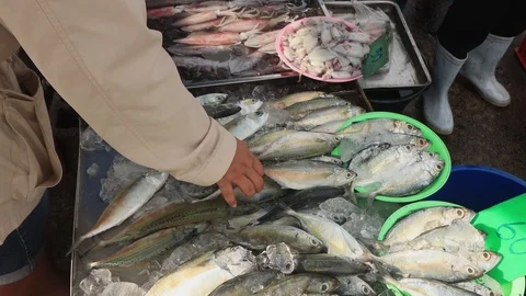 Fish market Stock Footage 128337096