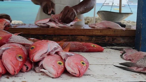 Fish Market Stock Footage 129524709