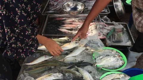 Fish market Stock Footage 129664432