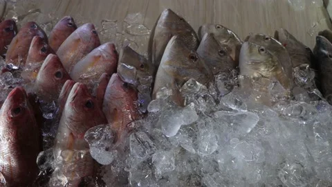 Fish market Stock Footage 130760977