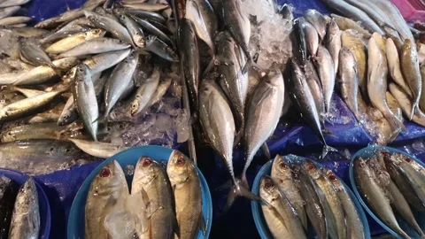 Fish market Stock Footage 133746041