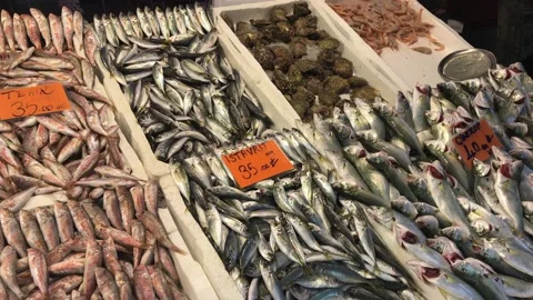 Fish market Stock Footage 145221161