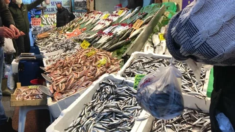 Fish market Stock Footage 145221584