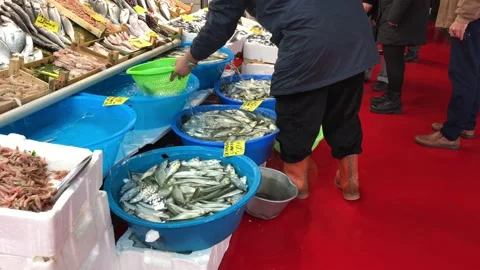 Fish market Stock Footage 145290771