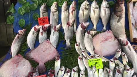 Fish market Stock Footage 146099517