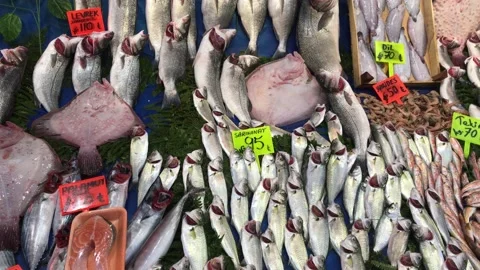 Fish market Stock Footage 146099990