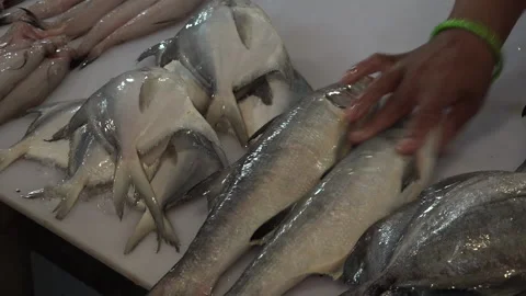 Fish market Stock Footage 151026698
