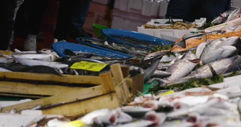 Fish Market Stock Footage 165517963
