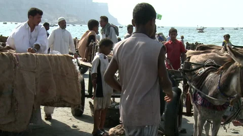 Fish market Stock Footage 202139051