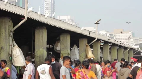 Fish market Stock Footage 208563005