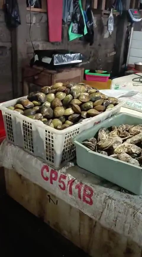 Fish Market Stock Footage 310313545
