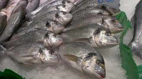 Fish in the market La Boqueria in Barcelona Stock Footage