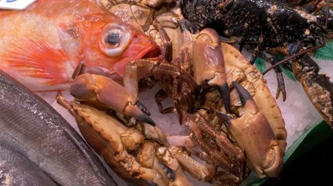 Fish in the market La Boqueria in Barcelona Stock Footage