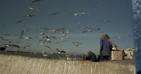 Fish Market  In Marrocco Stock Footage 131985259