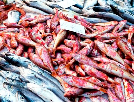 Fish market Foto stock
