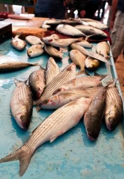 Fish market Stock Photos