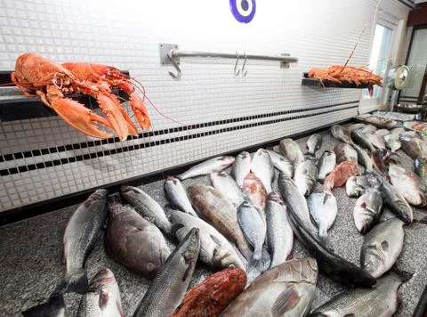 Fish market Stock Photos