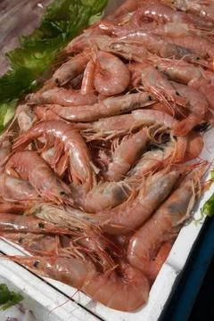 Fish at market Stock Photos