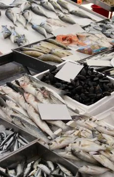 Fish market 스톡 사진