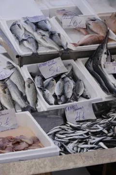 Fish market 스톡 사진