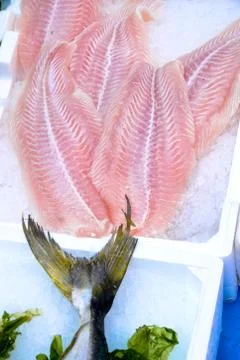 Fish at market Stock Photos