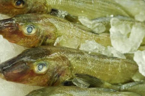 Fish market Stock Photos