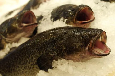 Fish market Stock Photos