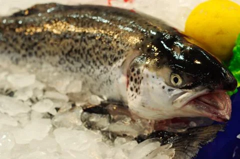 Fish market Stock Photos