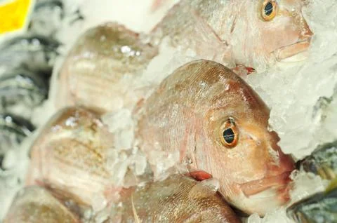 Fish market Stock Photos