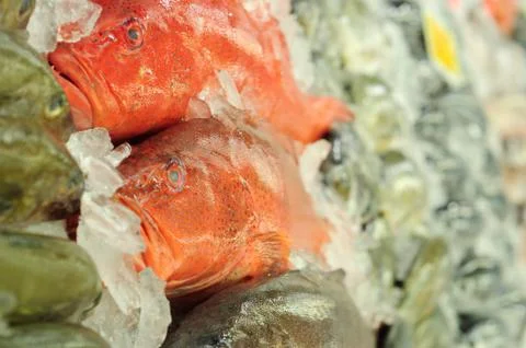 Fish market Stock Photos